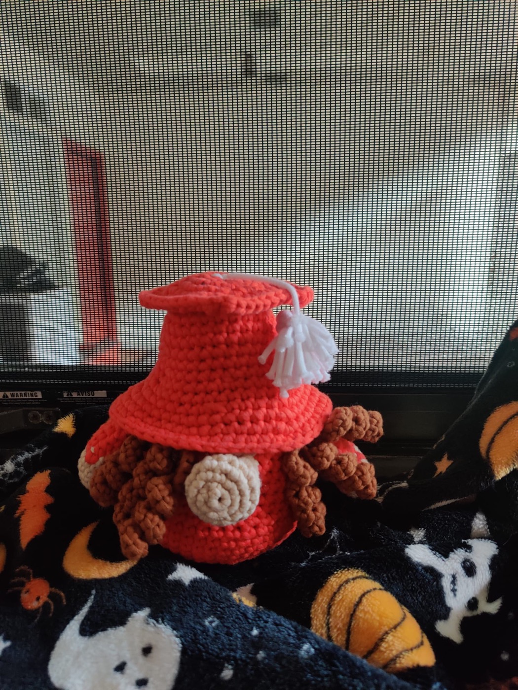 Crochet project